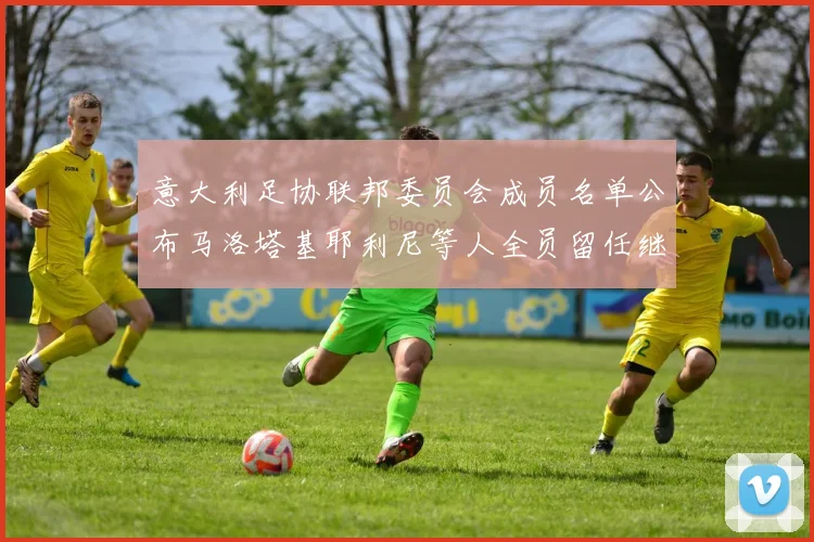 意大利足协联邦委员会成员名单公布马洛塔基耶利尼等人全员留任继续服务