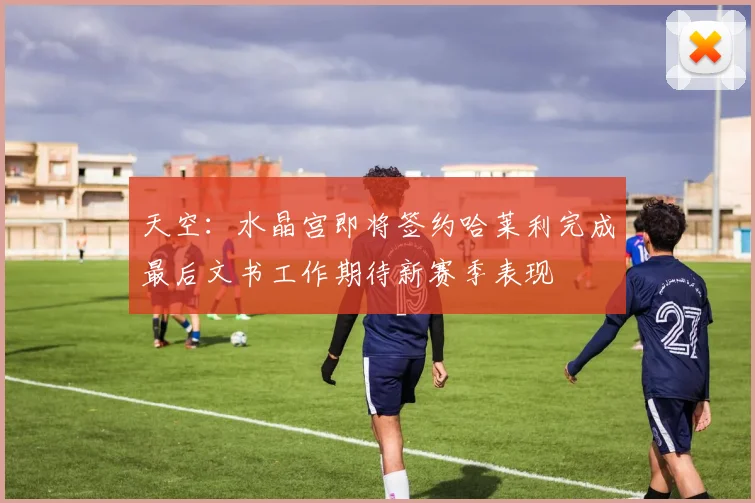 天空：水晶宫即将签约哈莱利完成最后文书工作期待新赛季表现