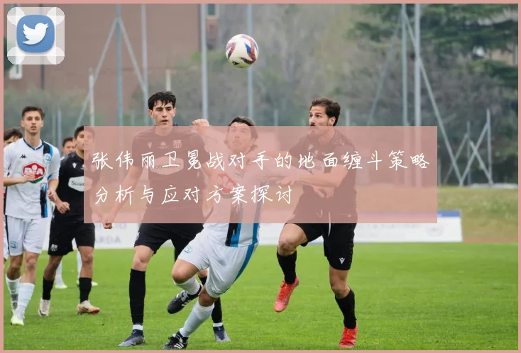 张伟丽卫冕战对手的地面缠斗策略分析与应对方案探讨
